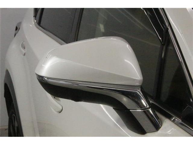 Lexus NX 11