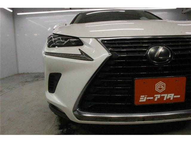 Lexus NX 12