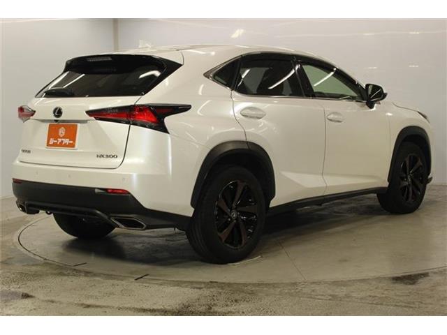 Lexus NX 6