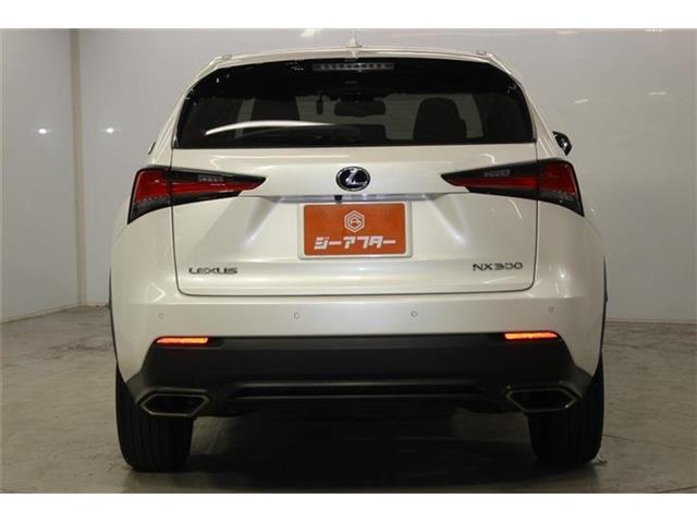 Lexus NX 7