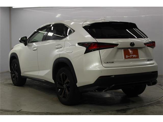 Lexus NX 8