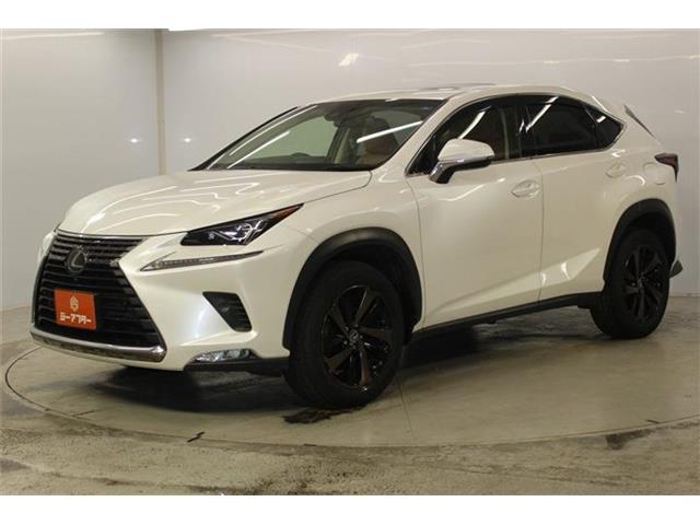 Lexus NX 10
