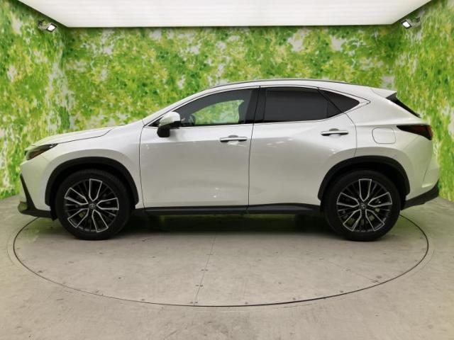 Lexus NX 5