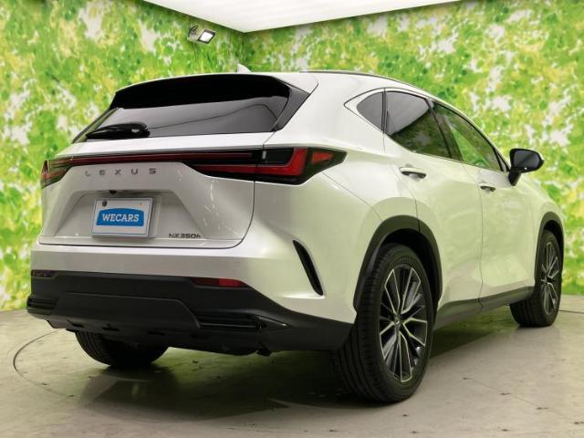 Lexus NX 6