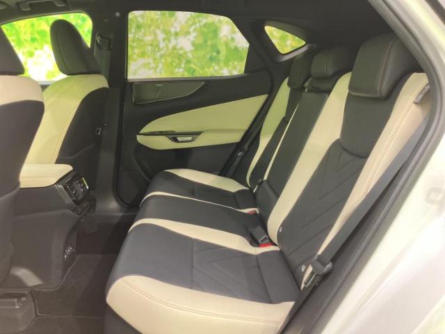 Lexus NX 9