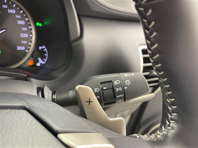 Lexus NX 12