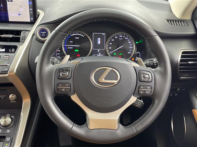 Lexus NX 7
