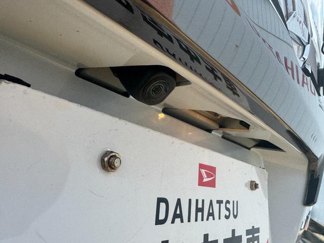 Daihatsu Taft 6