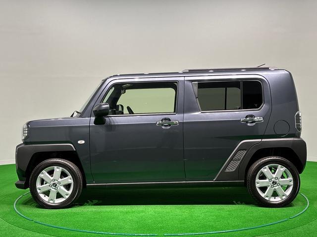 Daihatsu Taft 8