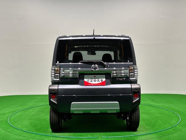 Daihatsu Taft 9