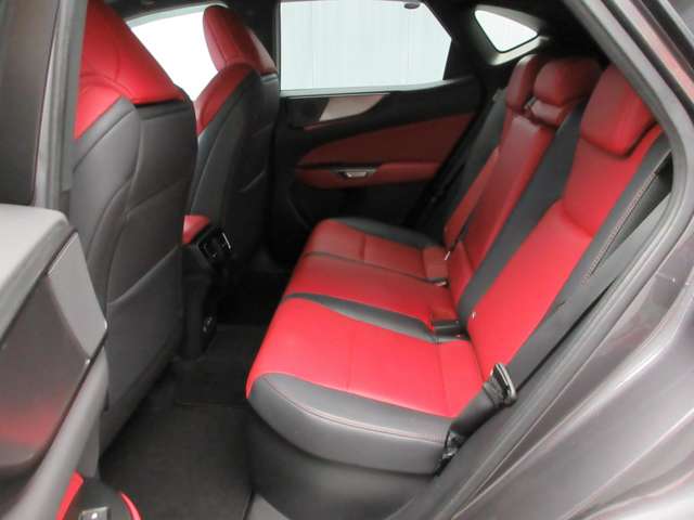 Lexus NX 11