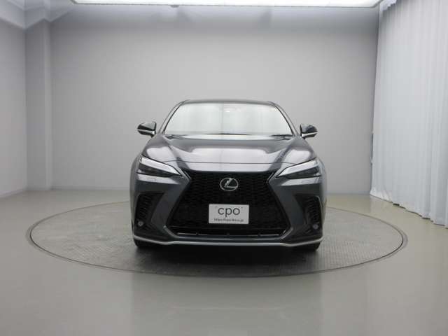 Lexus NX 4