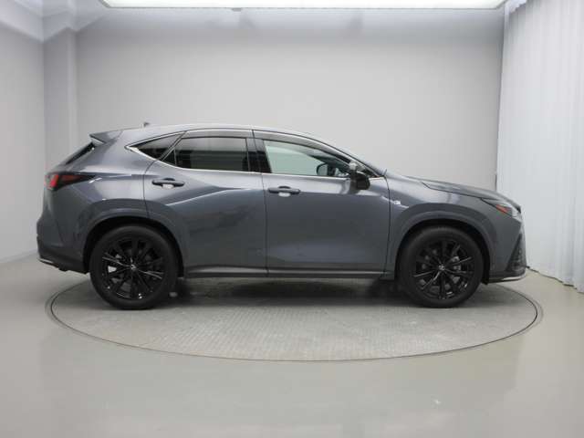 Lexus NX 5
