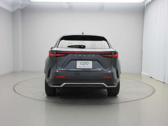 Lexus NX 6