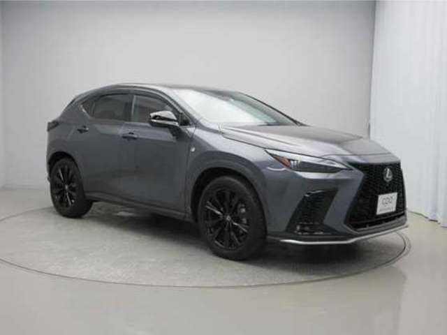 Lexus NX 7
