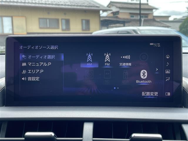 Lexus NX 12
