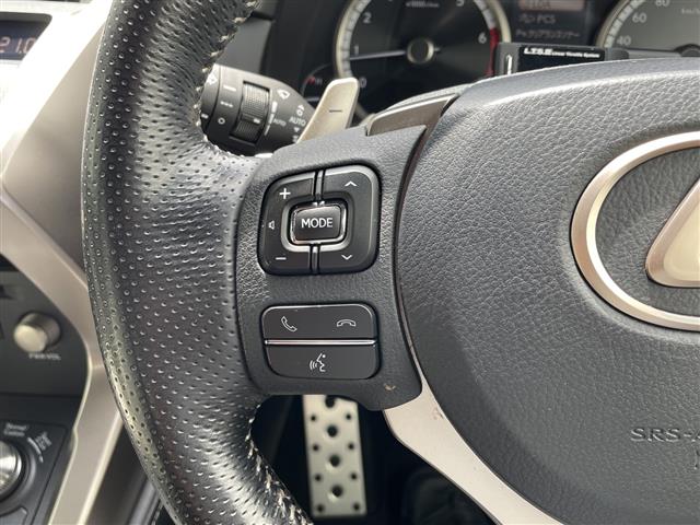 Lexus NX 4