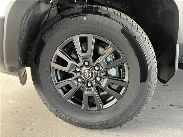 Toyota Land Cruiser 250 6