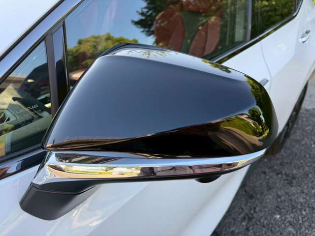 Lexus NX 11
