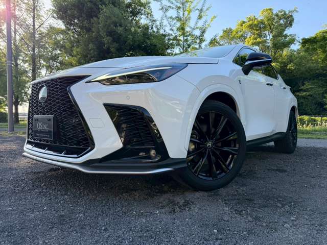 Lexus NX 8
