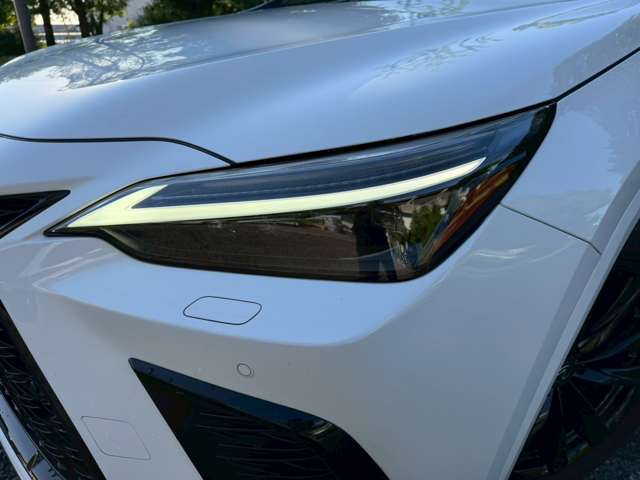 Lexus NX 10