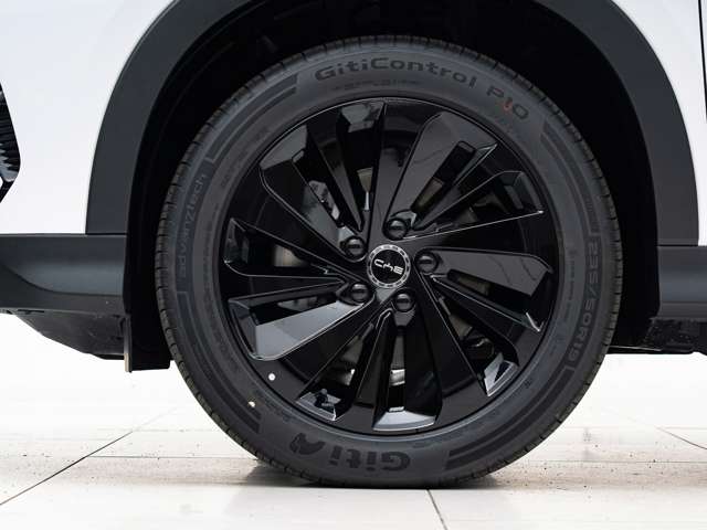 BYD BYDシーライオン6 12