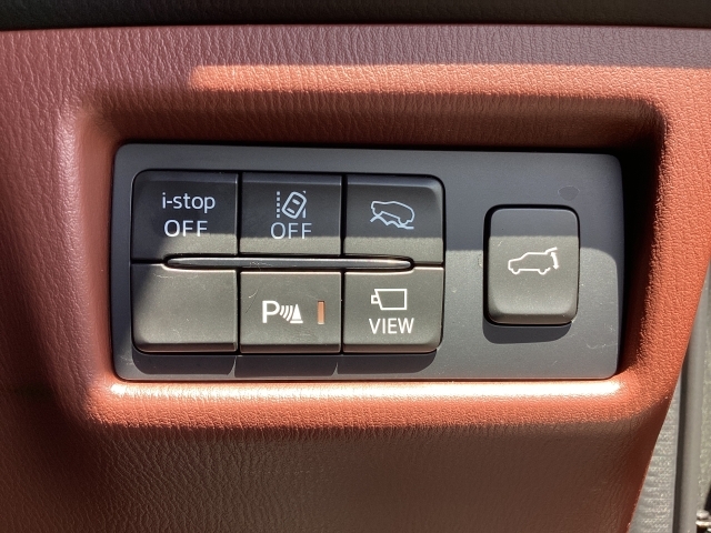 Mazda CX-8 6