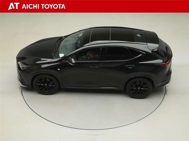 Lexus NX 11