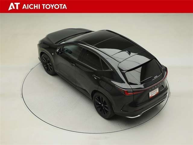 Lexus NX 12