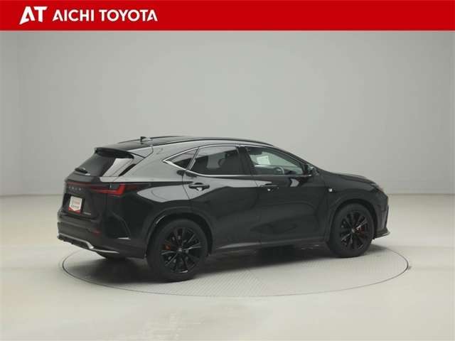 Lexus NX 6