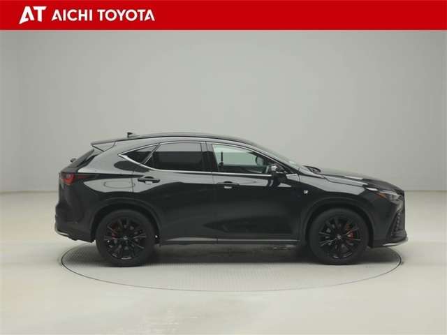 Lexus NX 7