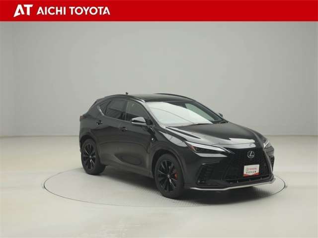 Lexus NX 8