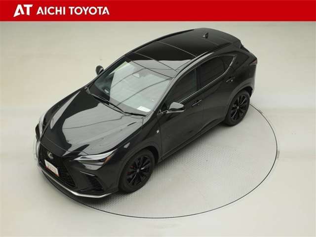 Lexus NX 10