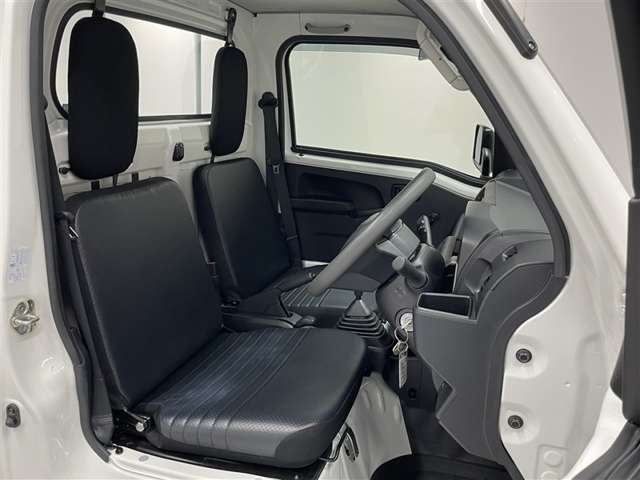 Toyota Pixis Truck 12