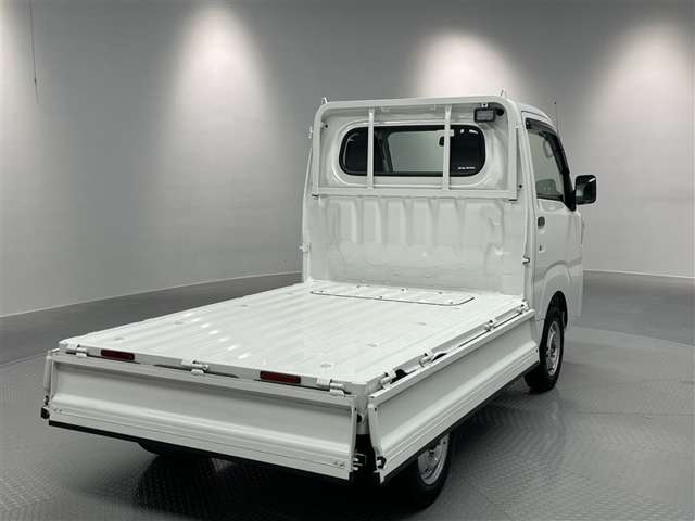Toyota Pixis Truck 9