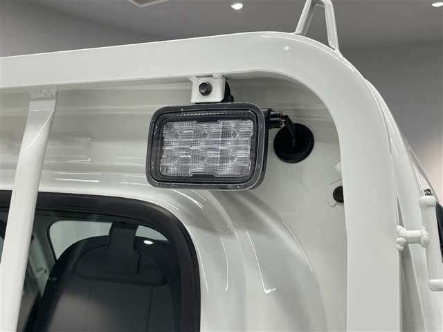 Toyota Pixis Truck 10