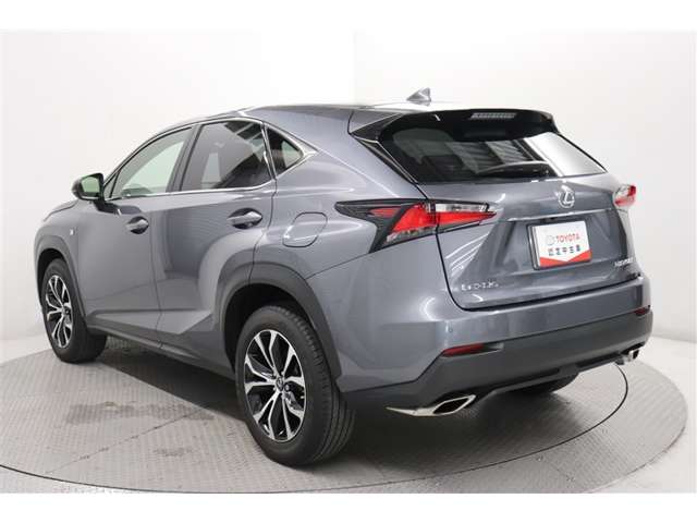 Lexus NX 7