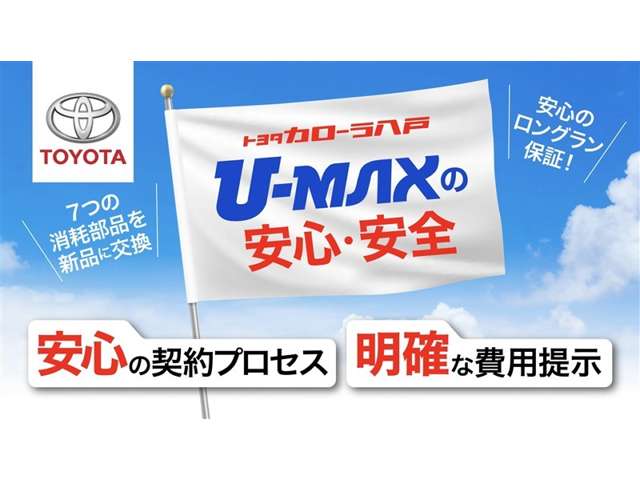Toyota Raize 3