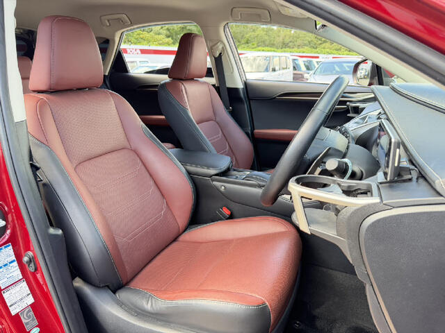 Lexus NX 12