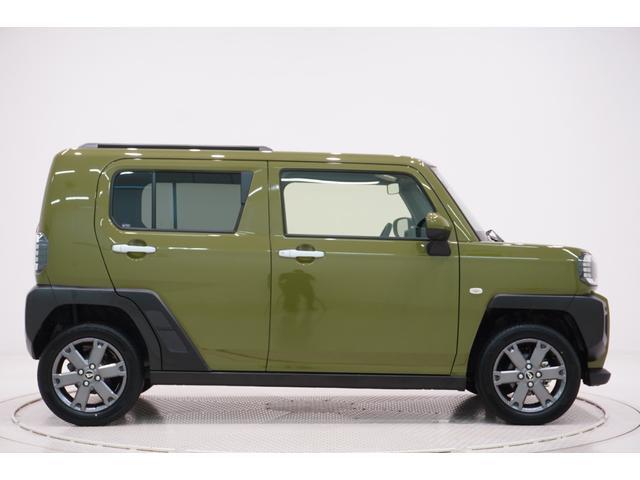 Daihatsu Taft 6