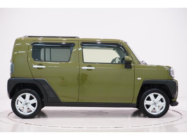 Daihatsu Taft 6