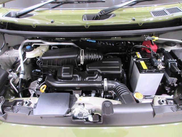 Daihatsu Taft 10