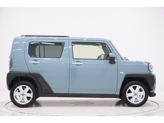Daihatsu Taft 6
