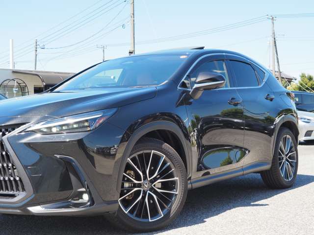 Lexus NX 11