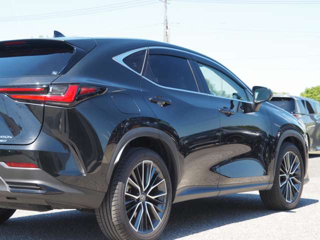 Lexus NX 12