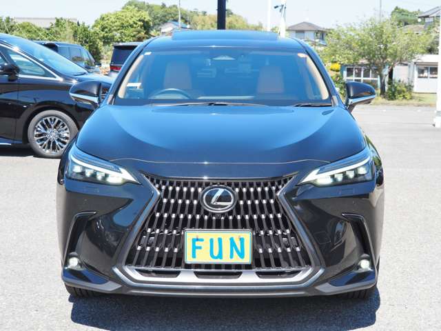 Lexus NX 2