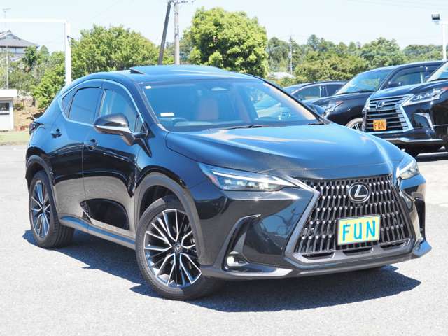 Lexus NX 3