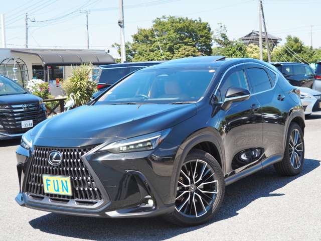 Lexus NX 4