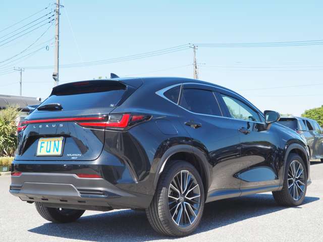 Lexus NX 5