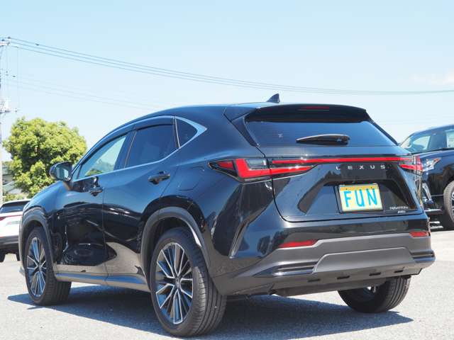 Lexus NX 6